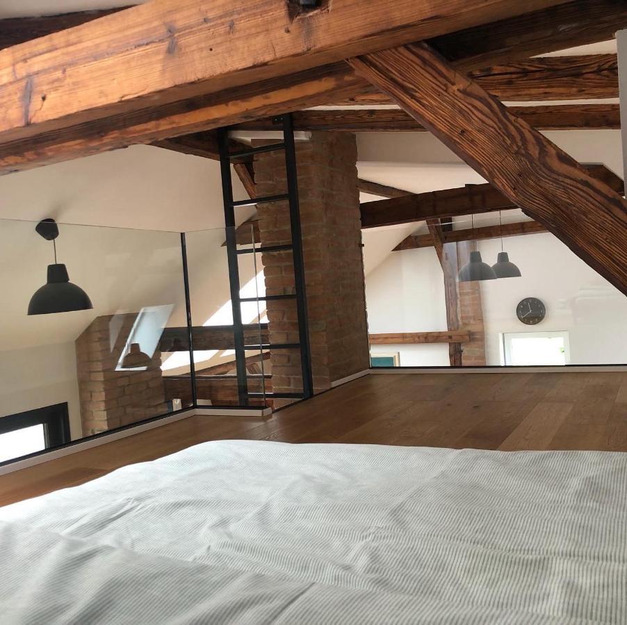 Loft V Historickom Centre Trenčín エクステリア 写真